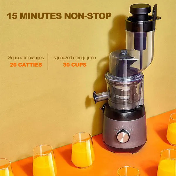 Automatic Juicer for Fruits and Vegetables – Effortless Home Juicing