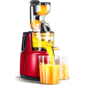 Automatic Juicer for Fruits and Vegetables – Effortless Home Juicing